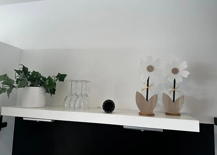 De Schelp 67, Free Parking 公寓