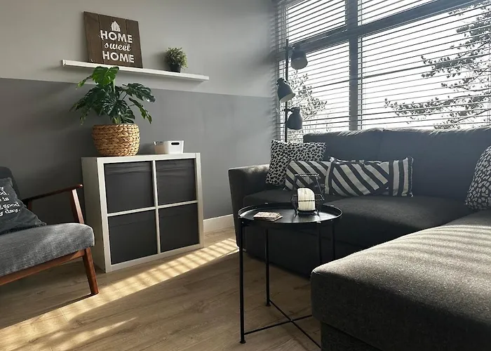 公寓 De Schelp 67, Free Parking 赞德沃特